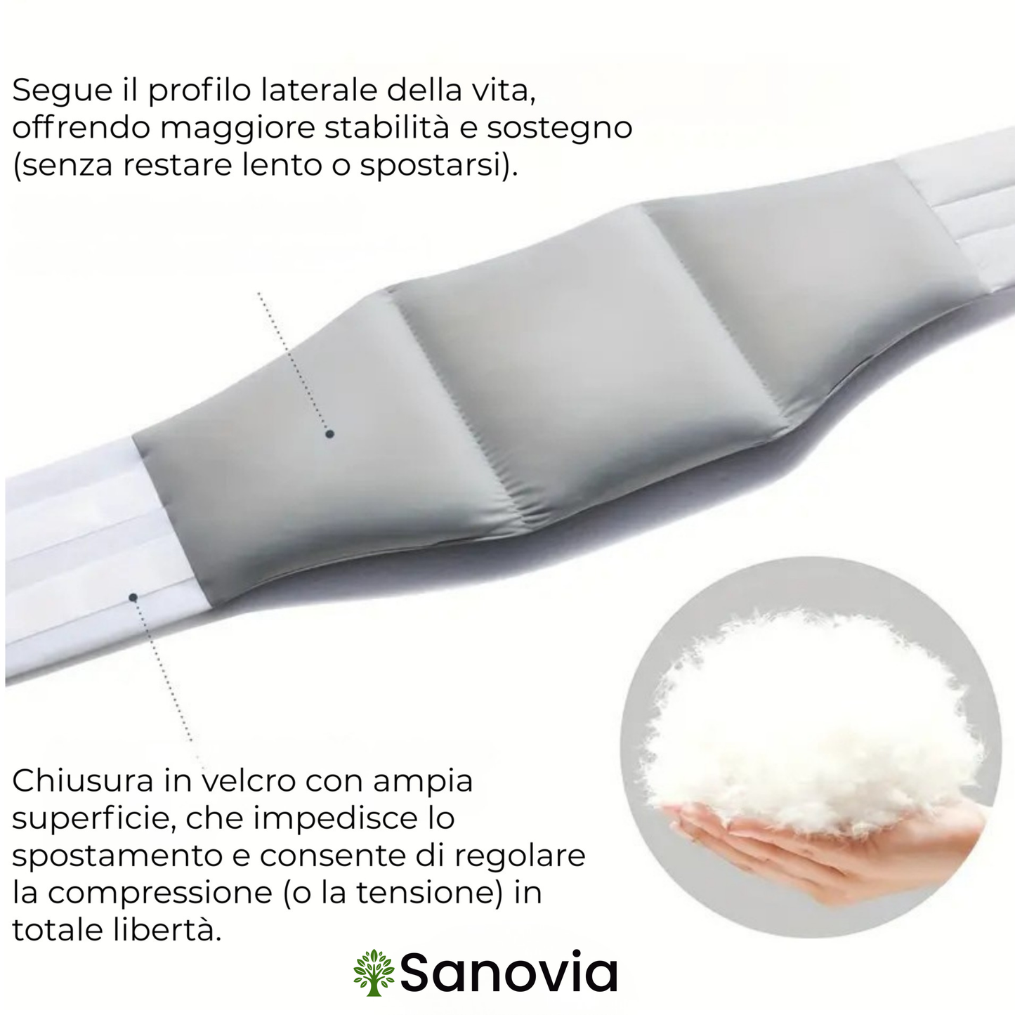 Sanovia: AllineaNotte